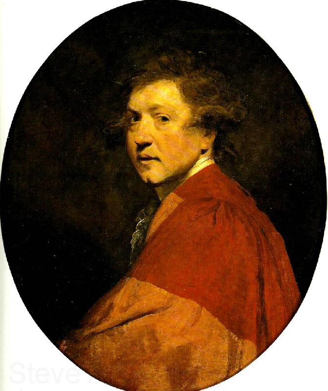 Sir Joshua Reynolds self-portrait in doctoral robes